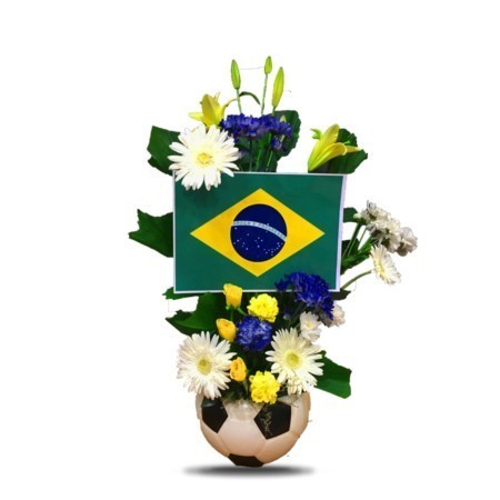 Brazil ws 1